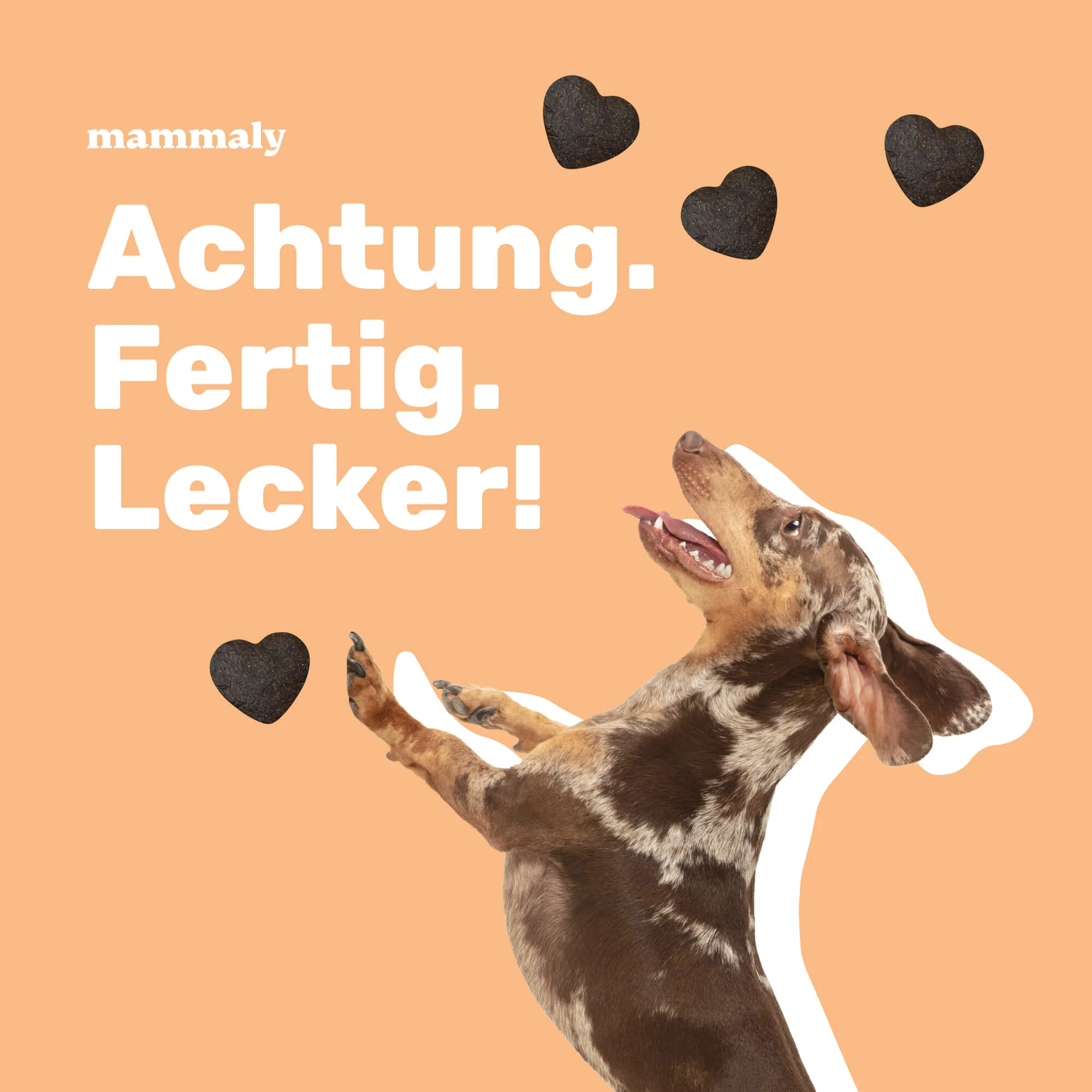 Gimme More! mit Huhn - Image 3