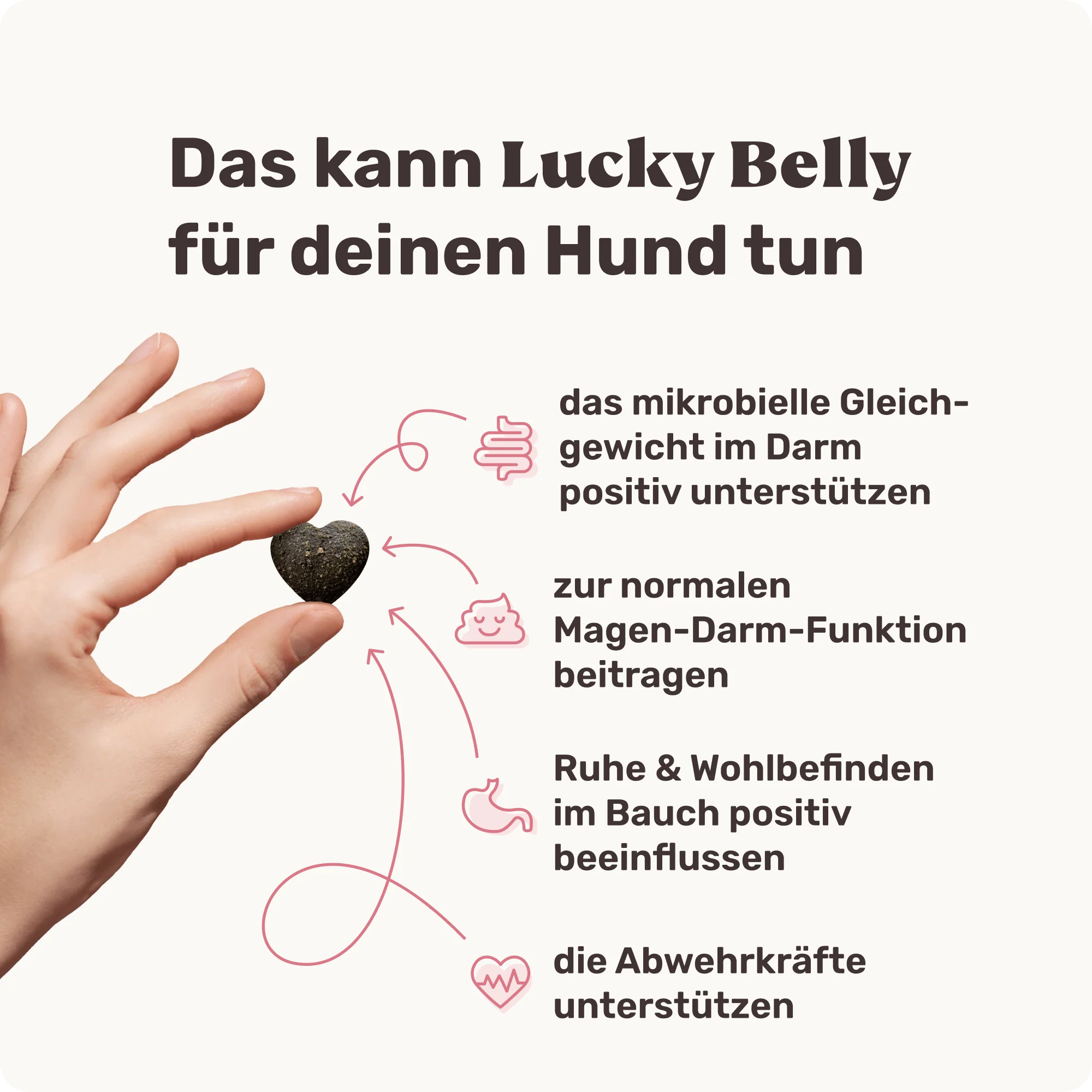 Lucky Belly - Image 4