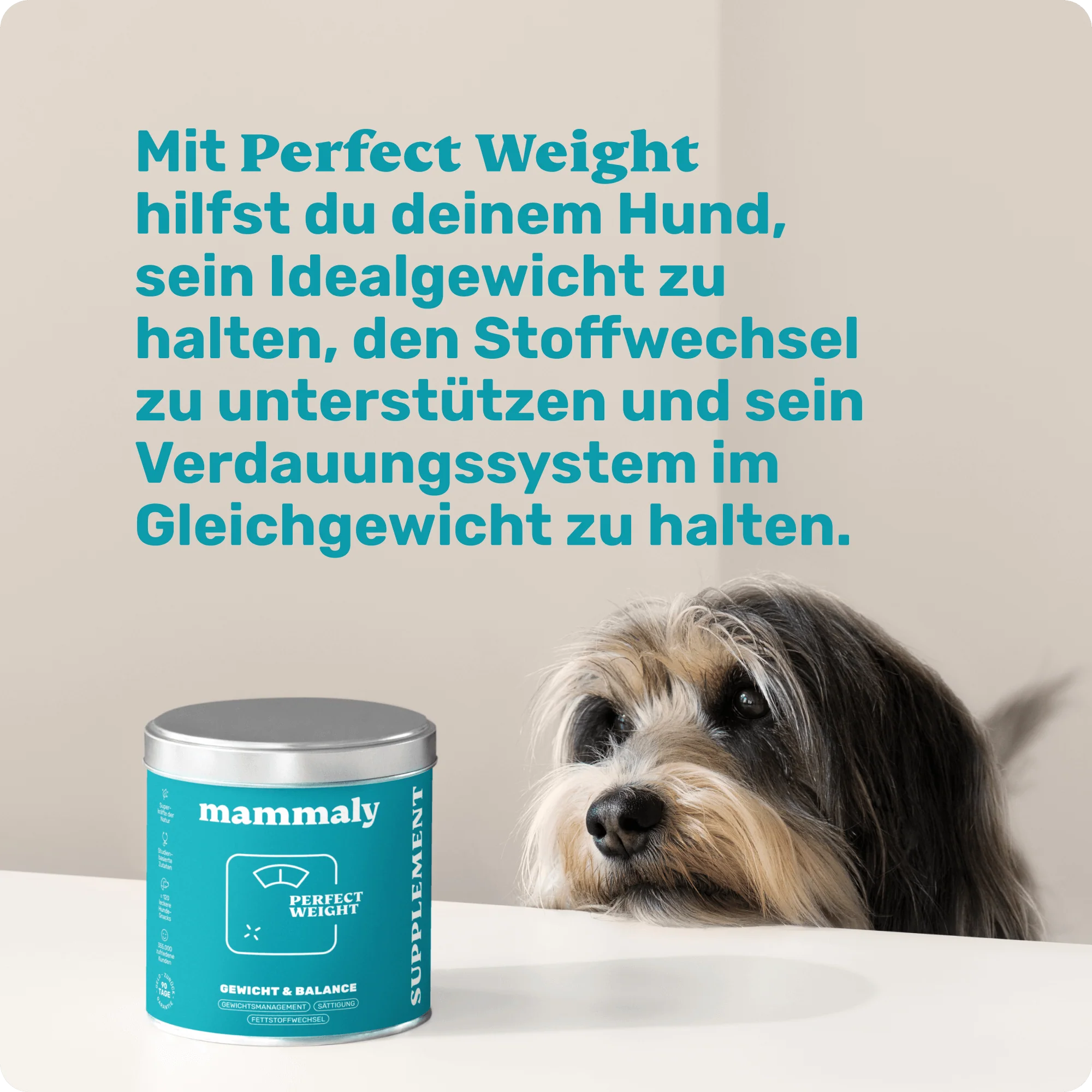 Perfect Weight - Image 7