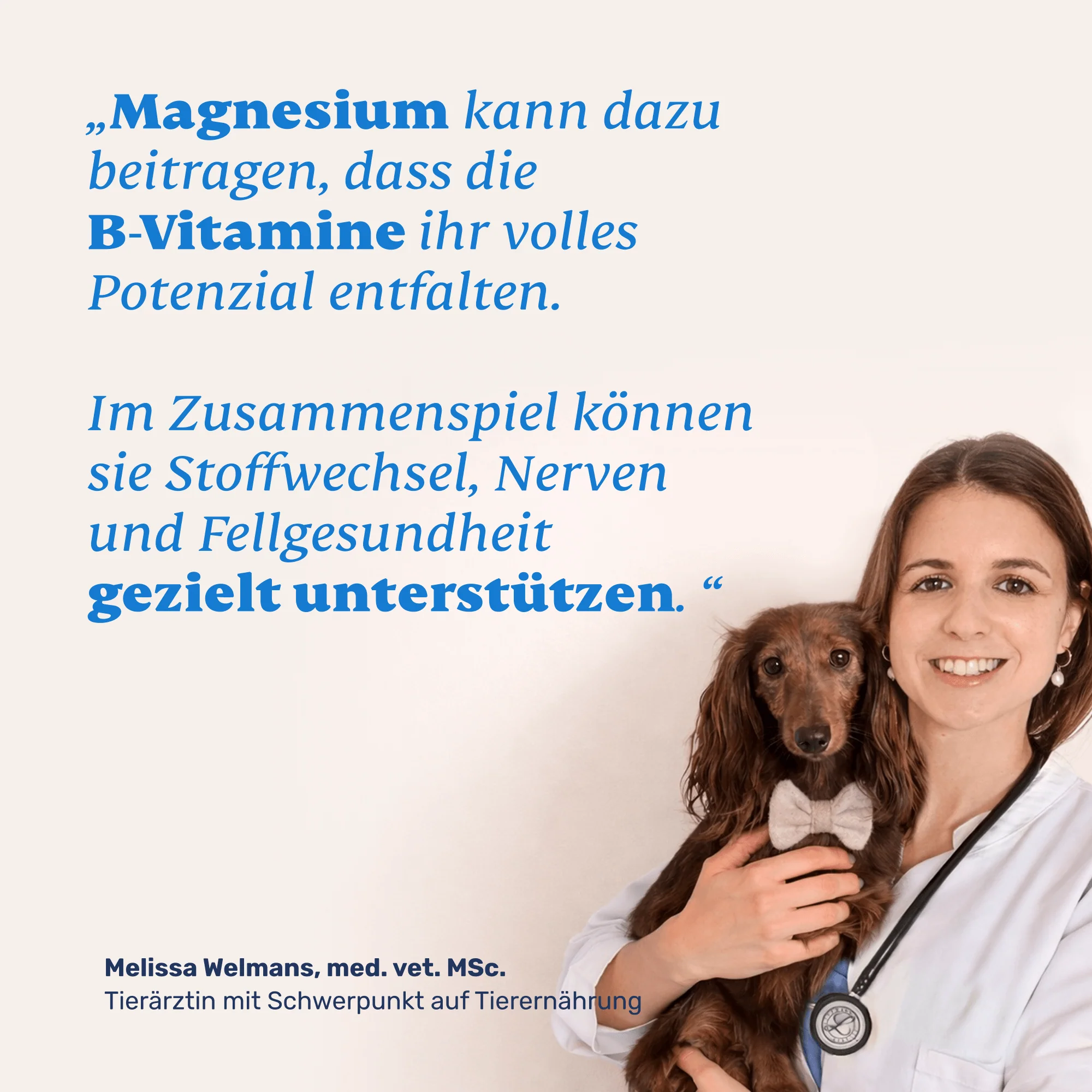 Vitamin B Complete + Magnesium - Image 5